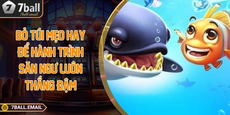 Bỏ túi mẹo hay để hành trình săn ngư luôn thắng đậm