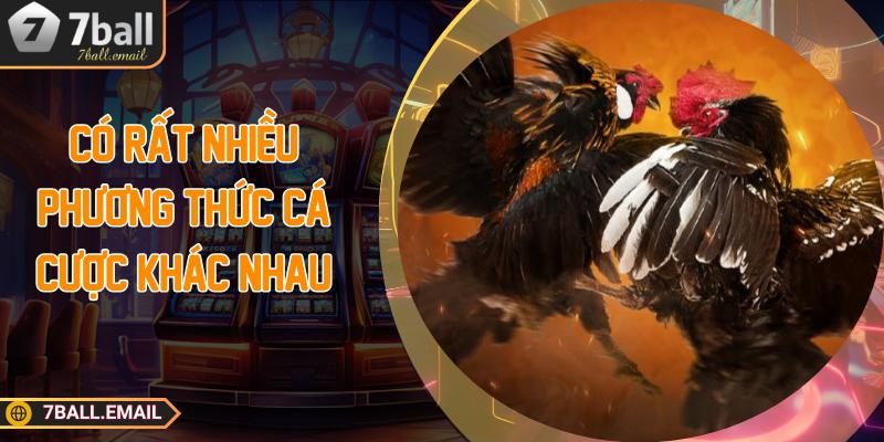 Có rất nhiều phương thức cá cược khác nhau