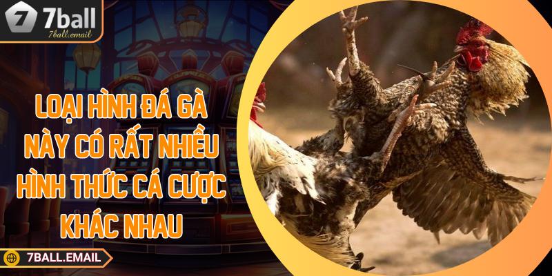 Loại hình đá gà này có rất nhiều hình thức cá cược khác nhau