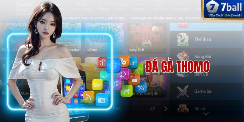 Đá Gà Thomo – Bộ Môn Đá Gà Đầy Kịch Tính Và Thu Hút