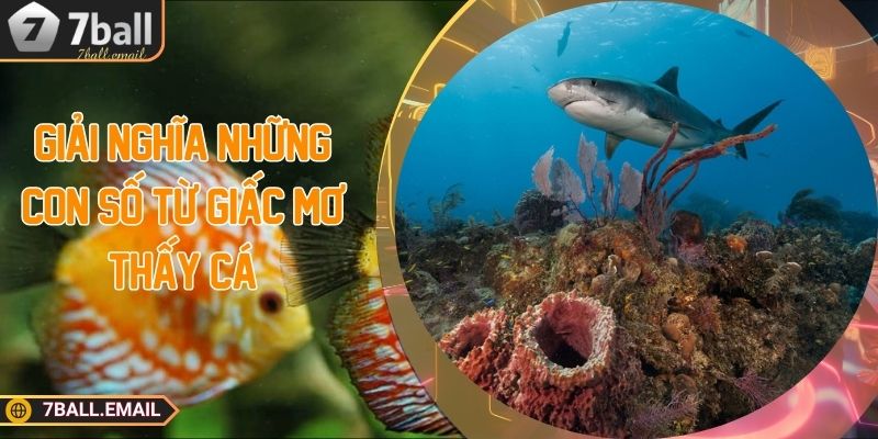 Giải nghĩa những con số từ giấc mơ thấy cá