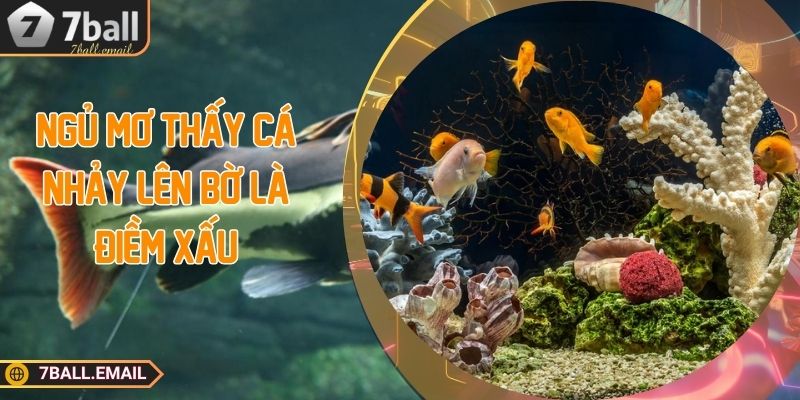 Ngủ mơ thấy cá nhảy lên bờ là điềm xấu